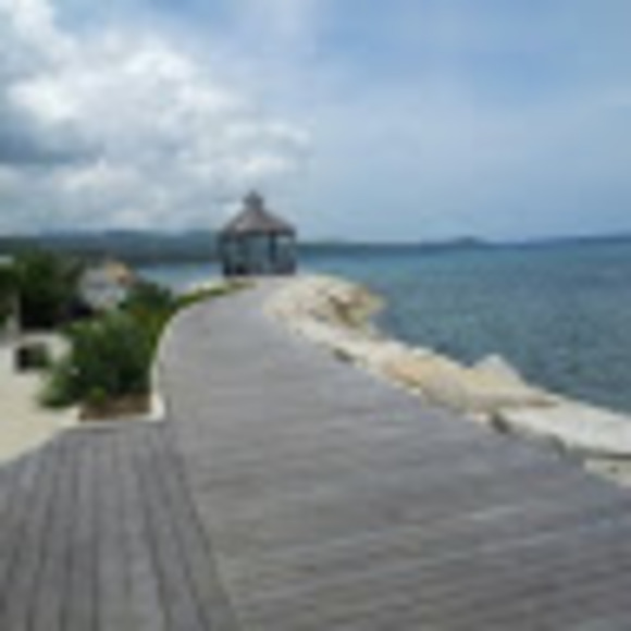 waiyingcheng4